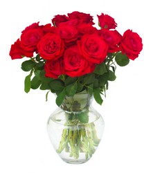 Elegant Red Roses 